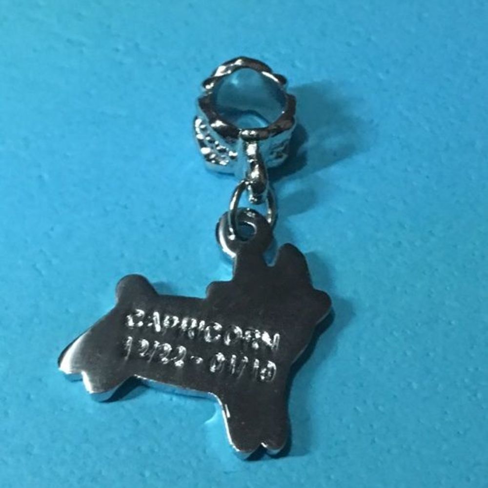 Capricorn charm - Picture 2 of 4